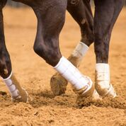 Iconoclast Hind Tall Orthopedic Boots